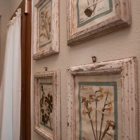 Le Del Borgo * Montescudaio